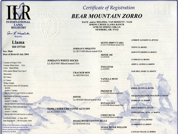 Zorro